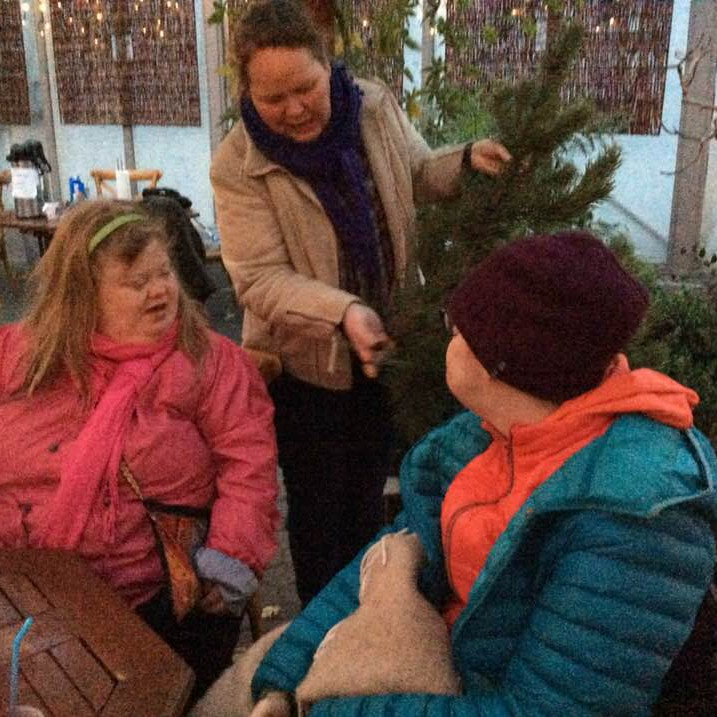 Jólin og náttúran