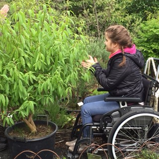 Sumarnámskeiðum lokið