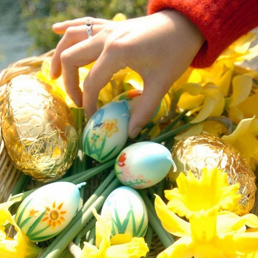 Nokkur stutt námskeið í boði á vorönn