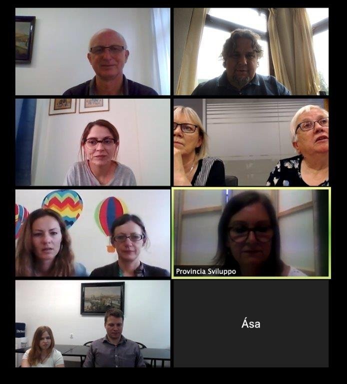 Hér má sjá þátttakendur á fjarfundi í júní.