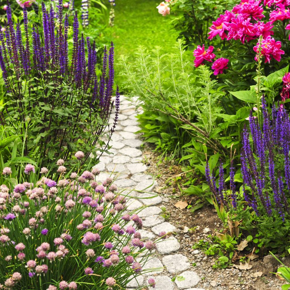 Opið er fyrir umsóknir fyrir haustönn 2024. Umsóknarfrestur er til 16. júní.