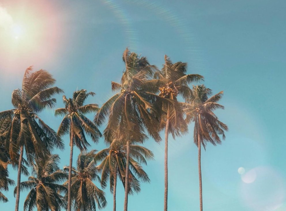 Sumarleyfi Fjölmenntar