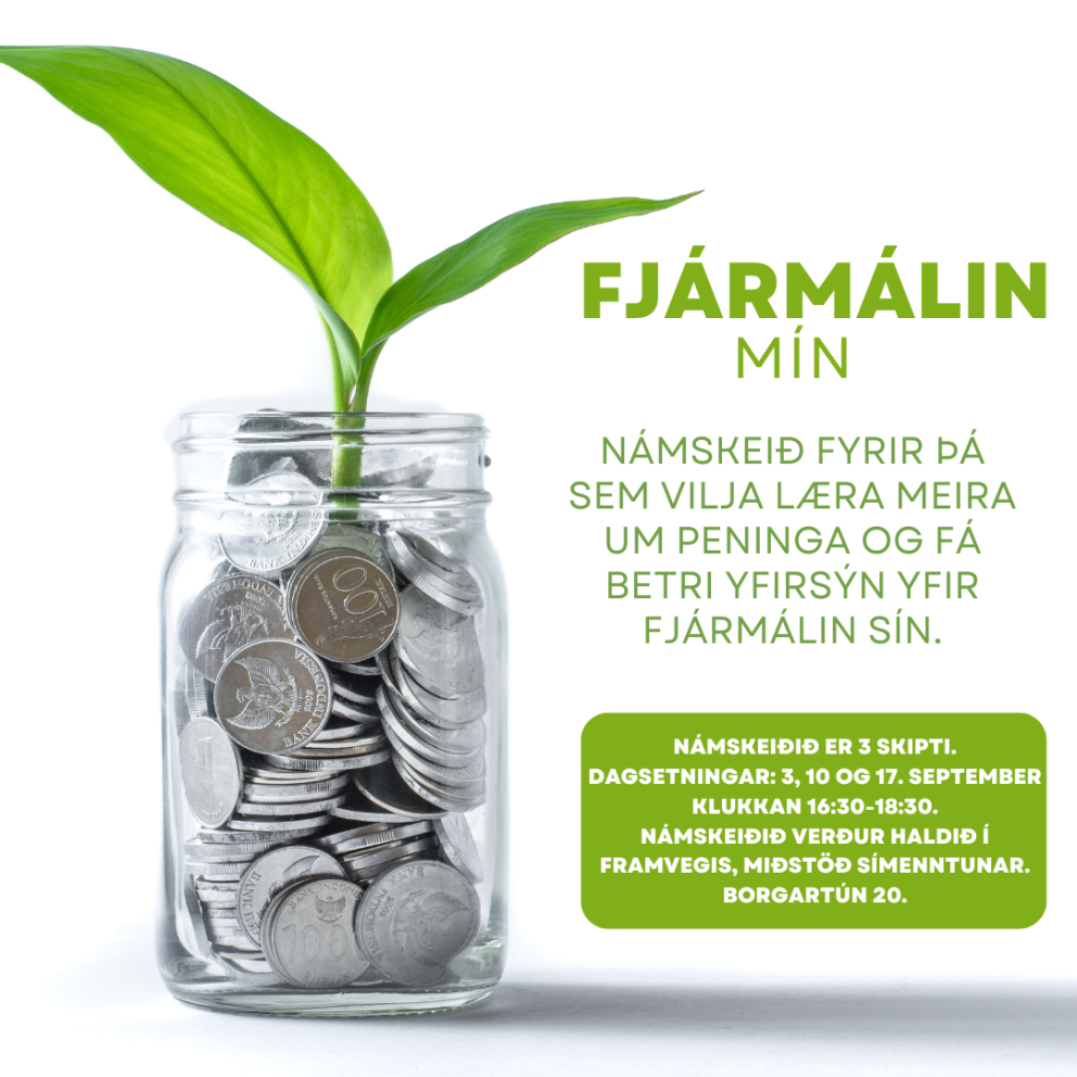 Viltu læra um peninga og hvernig er gott að hugsa um peninganna sína?