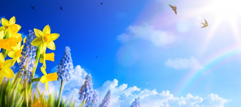 Sumarnámskeið 2019