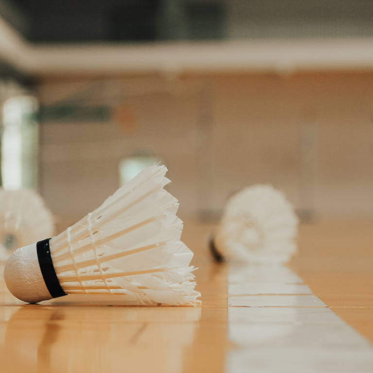 Langar þig að spila badminton?