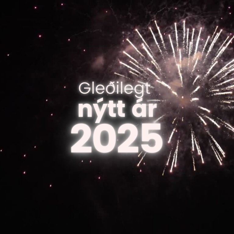 gleðilegt nýtt ár!