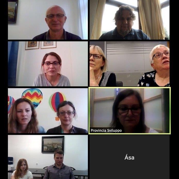 Hér má sjá þátttakendur á fjarfundi í júní.