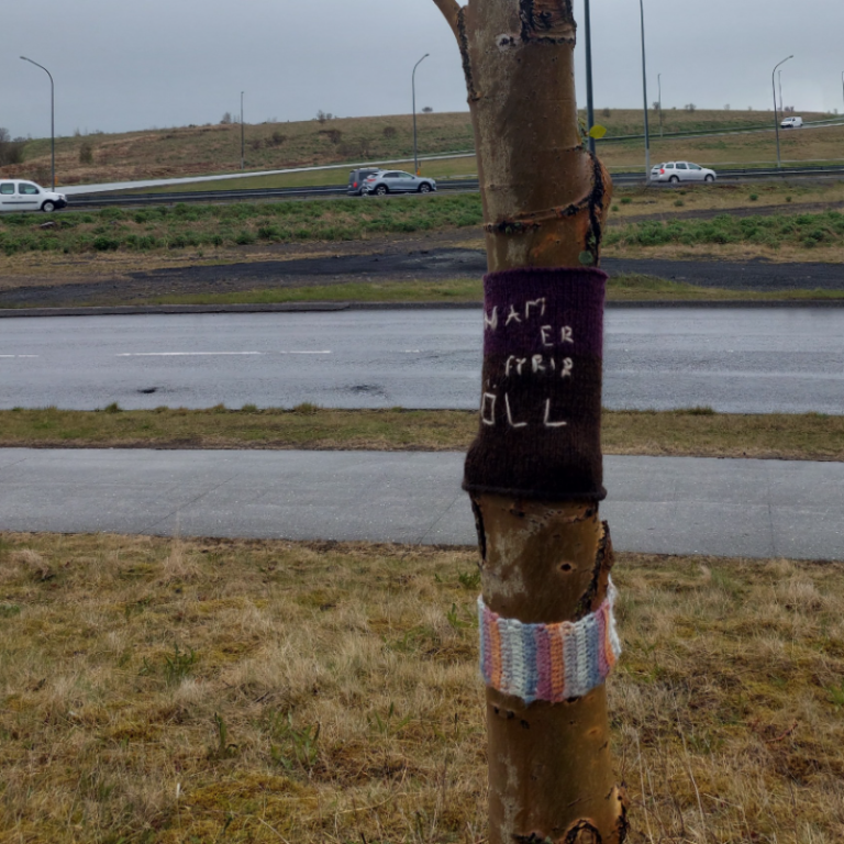 Afrakstur sumarnámskeiðs hjá Fjölmennt í prjónagraffi