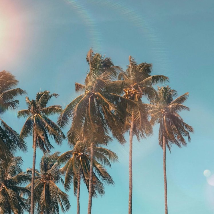 Sumarleyfi Fjölmenntar