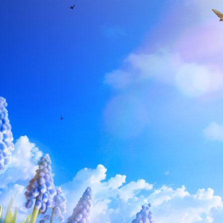 Sumarnámskeið 2019