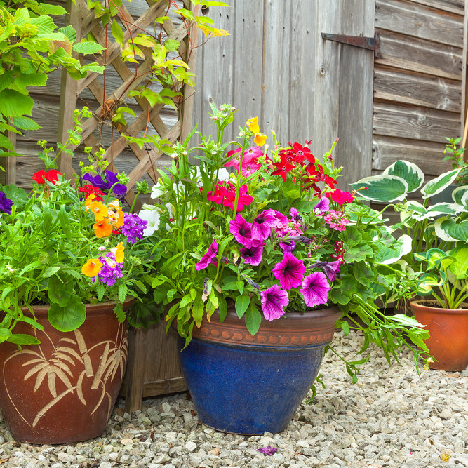 Sumarnámskeiðum lokið - minnum á umsóknarfrest til 16. júní